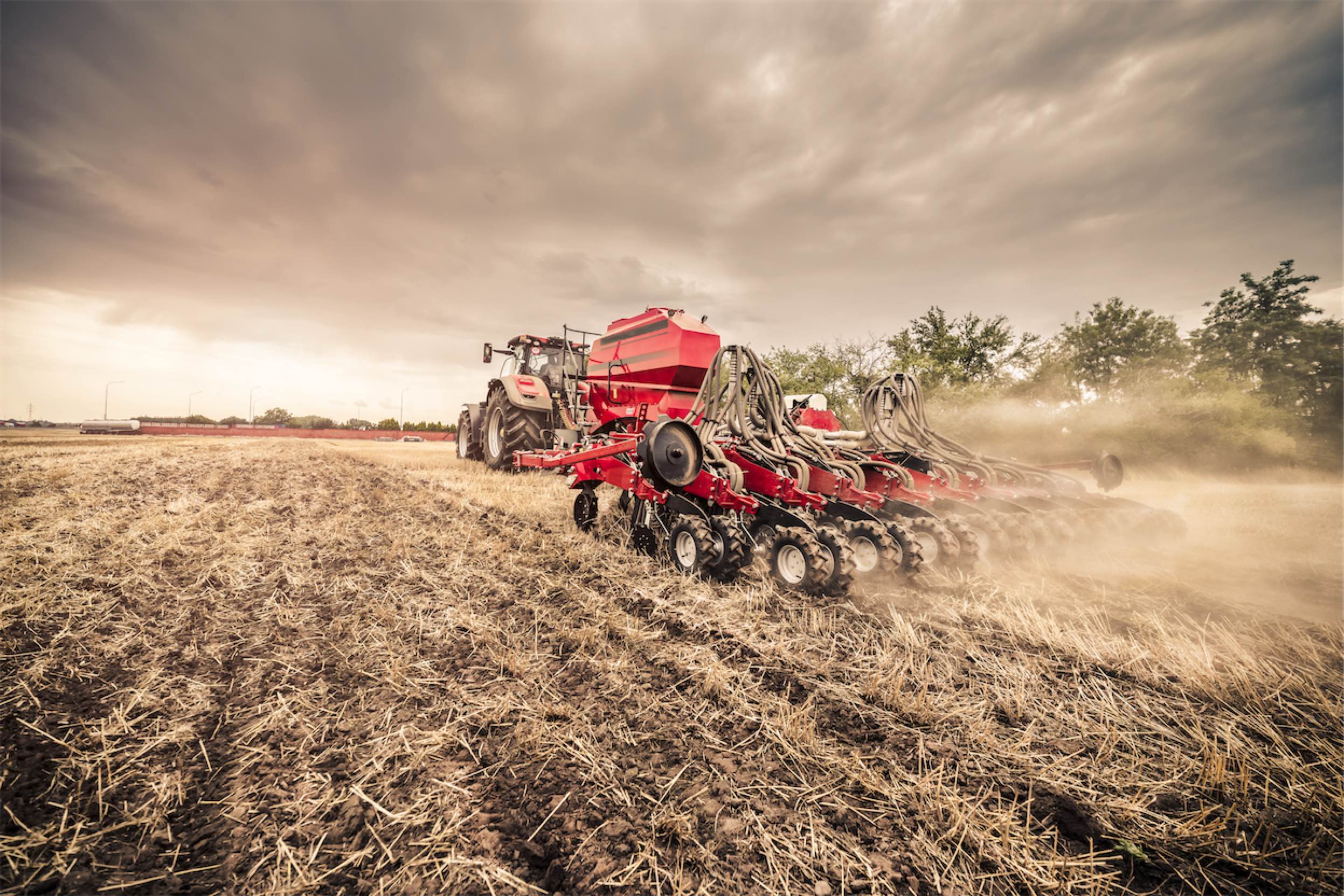 Почва, подготовленная для полосовой обработки Strip-Till с оставленным мульчем.